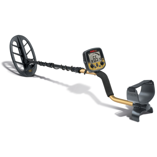 Fisher Goldbug Pro with 11
