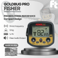 Fisher Goldbug Pro with 11